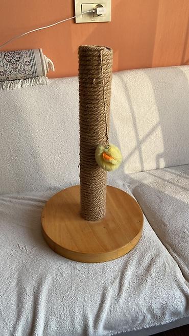 toy oudel: Pişik üçün qaşıma dirəyi - Material: təbii ağacdan hazırlanmış — 1