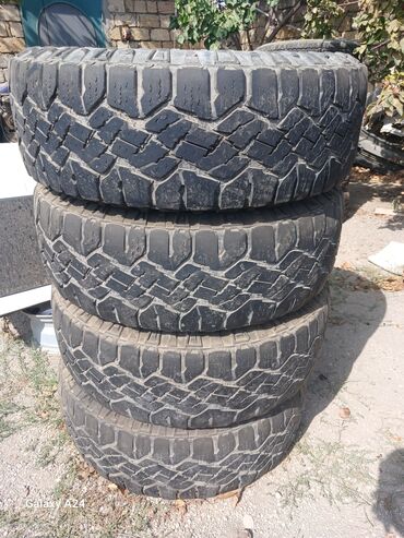 Digər baqaj aksesuarları: Pikap üçün hardtop və aksesuarlar - Şəkillərdə müxtəlif pikap — 15