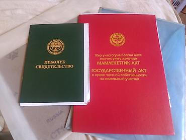 Кыймылсыз мүлк: 500 соток, Айыл чарба үчүн, Сатып алуу-сатуу келишими — 2