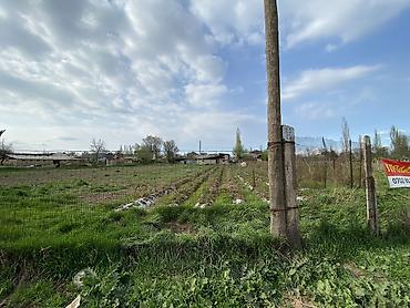квартира с участком: 10 соток — 4