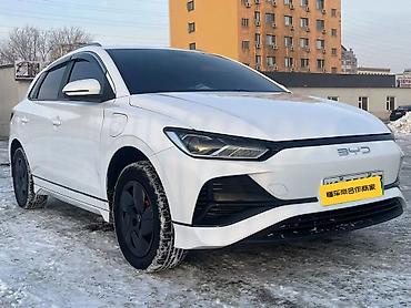 BYD: BYD E2: 2023 г., 0.1 л, Автомат, Электромобиль, Хэтчбэк — 2