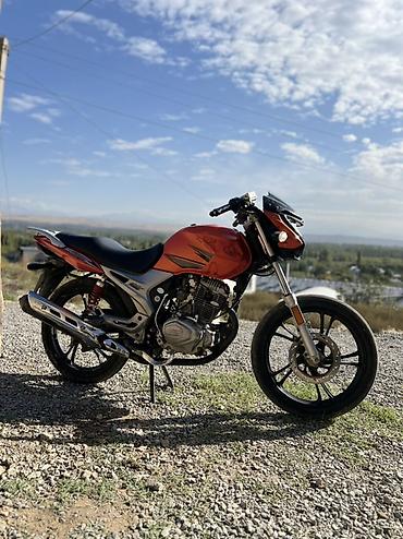 Мотоциклы: Мотоцикл городской (нейкед) SkyMoto Dragon 200 - Яркий оранжевый — 3