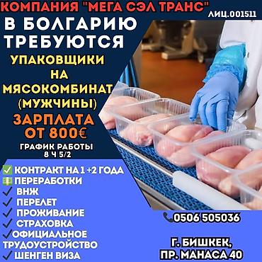 Жумуш - Болгария, Тажрыйбасы бир жылдан аз, Форма