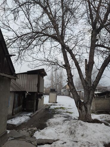 дачадан уй сатылат: Үй, 9 кв. м, 6 бөлмө, Менчик ээси, Эски ремонт