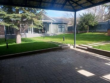 Газон: Газон
Автополив
Ландшафтный дизайн — 2