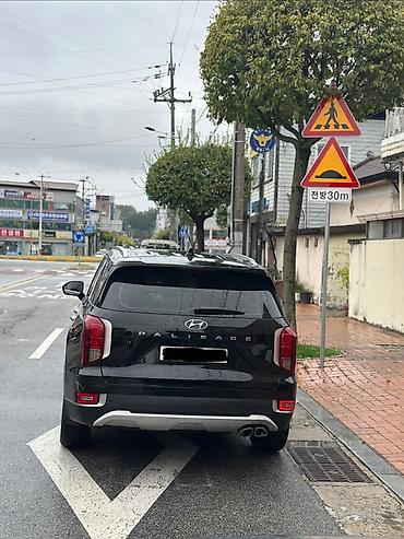 avalon 2017: Hyundai Palisade: 2021 г., Кроссовер — 5