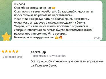 менеджер wb: Менеджер Wildberries / Ozon — увеличу прибыль, а не расходы. Вы уже — 9