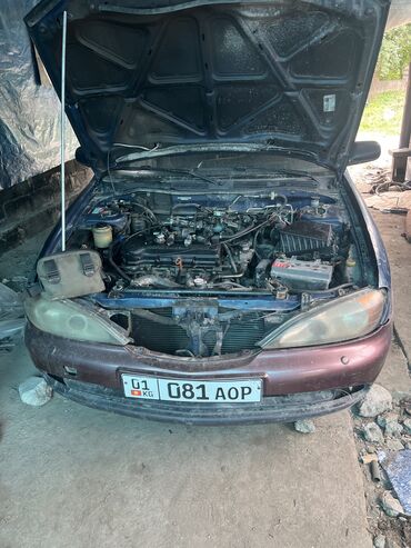 Nissan: Nissan Primera: 2000 г., 1.8 л, Механика, Бензин, Седан