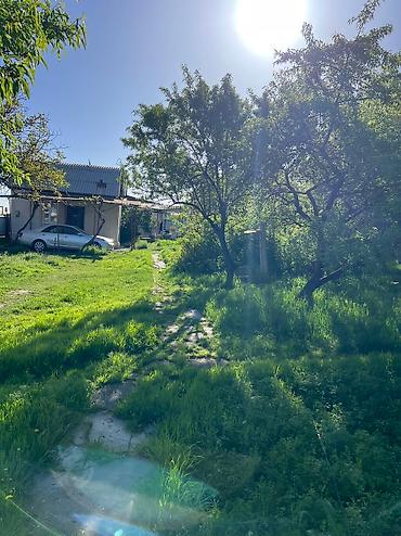 Продажа домов: Дом, 36 м², 2 комнаты, Собственник at lalafo.kg — 13 Продажа домов: Дом, 36 м², 2 комнаты, Собственник — 13