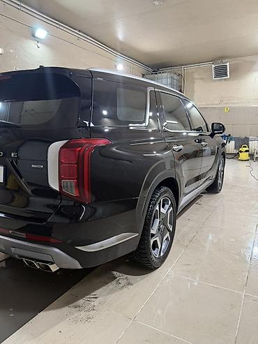 Hyundai: Hyundai Palisade: 2024 г., 2.2 л, Автомат, Дизель, Кроссовер — 8