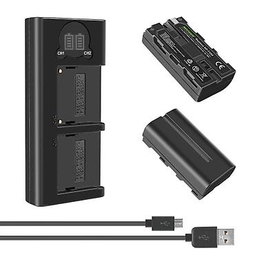 video registor: Neewer NP-F550 2-li Batareya və İkili Şarj Adapter Dəsti Foto və — 1