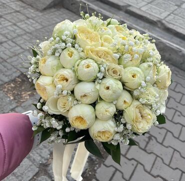 официантка дордой: Требуется флорист с опытом.село Новопокровка рядом с глобусом.з/п lalafo.kg да официантка дордой: Требуется флорист с опытом.село Новопокровка рядом с глобусом.з/п