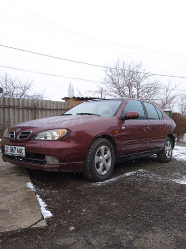 Nissan: Nissan Primera: 2001 г., 1.8 л, Механика, Бензин, Хэтчбэк