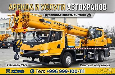 кран сани 50т: Стрела 42 м, 25 т — 2