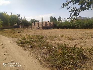 видео пантеры коттедж: 15 соток Для бизнеса — 3