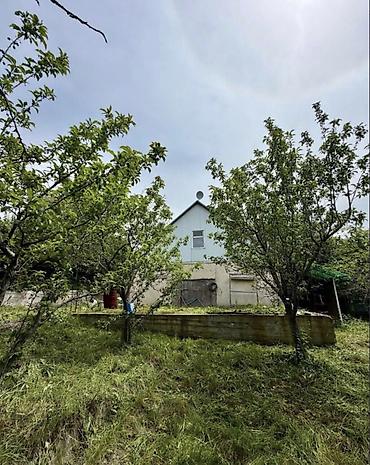Продажа дачи: 🏡🔥 ПРОДАЁТСЯ ДАЧА В ТАШ-МОЙНОКЕ! ДТ: «Мичуринец» 🌿 💥 Участок — 6 — 3