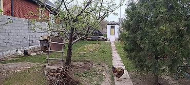 Продажа коттеджей и домов: Продаётся дом Арча Бешик с участком с двором и постройками. участок — 9