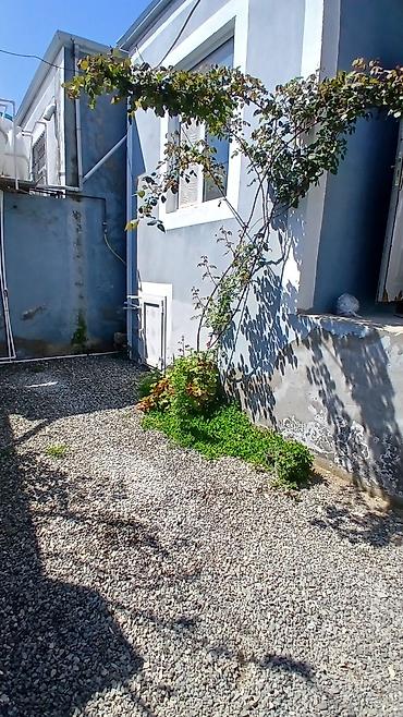 Günlük kirayə evlər: 2 otaqlı həyət evi - Plan: giriş pilləkənli eyvan, 2 ayrı otaq (yataq — 6