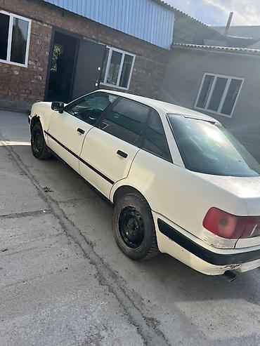 Audi: Audi 100: 1992 г., Седан — 1