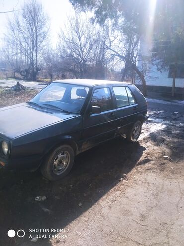 колпак р 15: Volkswagen Golf: 1988 г., 1.8 л, Механика, Бензин, Хэтчбэк