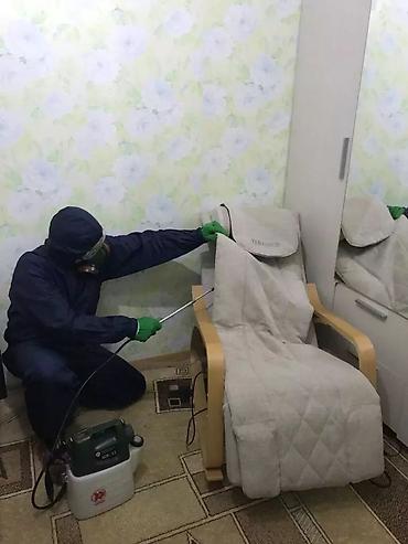 Дезинфекция, дезинсекция: Дезинфекция, дезинсекция, | Блохи, Тараканы, Вирусы, микробы, | Подвал, погреб, Транспорт, Кафе, магазины — 5