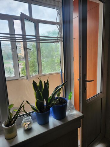 дом кв: 4 комнаты, 89 м², 105 серия, 3 этаж, Косметический ремонт