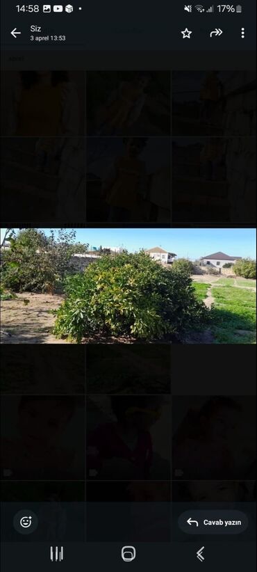 Həyət evləri və villaların satışı: Bilgəh qəs. 5 otaqlı, 150 kv. m, Kredit yoxdur, Orta təmir — 2