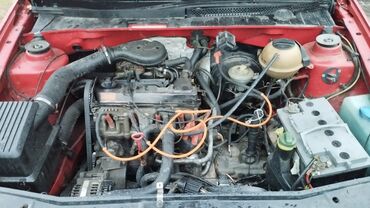 Volkswagen: Volkswagen Golf: 1993 г., 1.8 л, Механика, Бензин, Хэтчбэк — 12