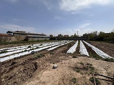 Продажа участков: 7 соток, Для строительства, Красная книга, Тех паспорт — 6