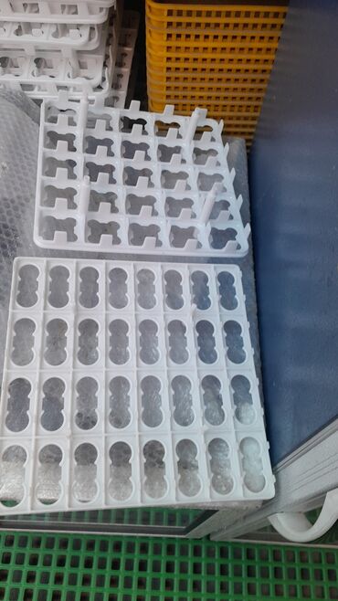 İnkubatorlar: 88 ədədlik toyuq latoq 
ölçü (50 .36) — 2