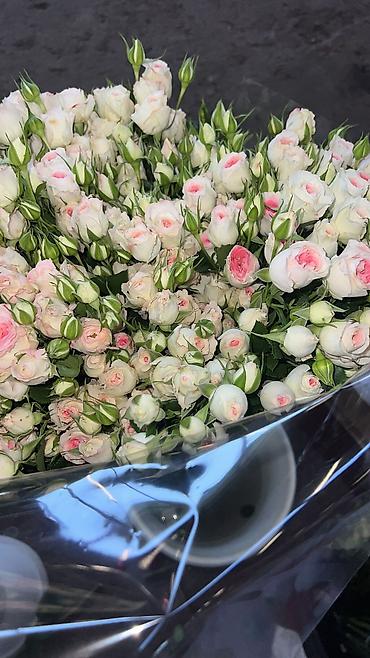 отдам даром цветы: Букеты по приемлемой цене всегда свежие💐💐💐 — 9