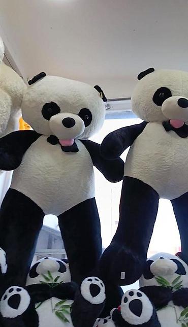 panda oyuncaq: Panda 1.60sm 2metr satisdadir 8 Marta Hədiyyən hələdə hazır deyil? — 1