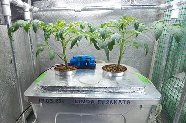 Другие товары для дома и сада: Гидропоника!!!!- это метод автоматезированного выращивания — 13