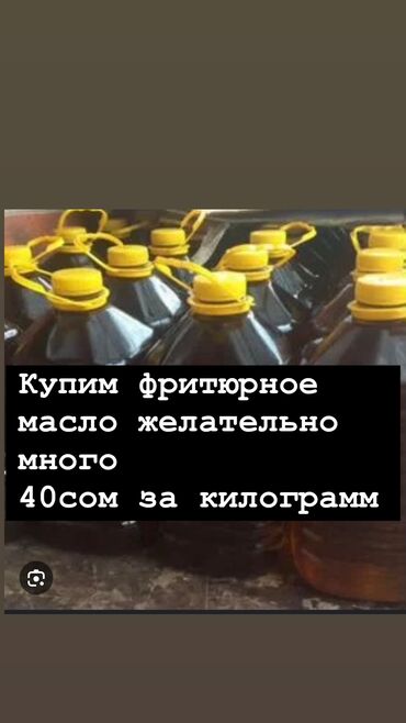 Другие услуги: Принимаем фритюрное Масло без мусора 40 сом за килограмм будем