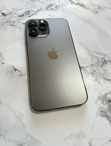 Apple iPhone: IPhone 13 Pro Max, 256 GB