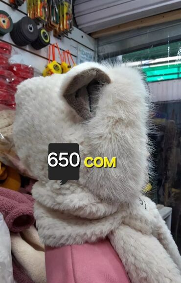 Межкомнатные двери: Двери дерево в хорошем состоянии двойная 2м×0.60 см без стекла по 60 — 8