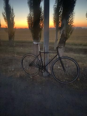 мужские коньки: Фикс-байк (fixed gear) на стальном хардкор-фреймсете - Тип — 2