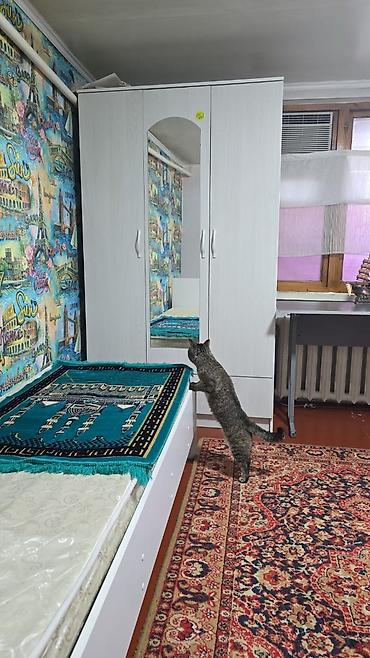 Долгосрочная аренда комнат: Срочна сдаётся комната район восток 5 - Уютная спальня: односпальная — 4