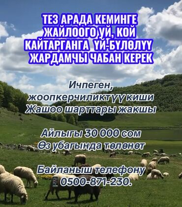 мал жандык: Талап кылынат Чабан, Төлөм Келишим түрдө, Окутуу