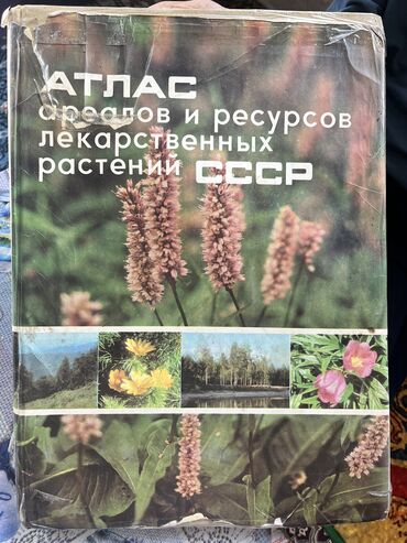 беде урук gea: Продается!!!!Цена договорная 
Звоните на этот номер