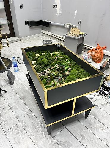 stollar ve stullar: Dekorativ Masa.İçi əl işidi,üst hissə şüşə,Laminatdan yığılıb. Eni 50 — 2