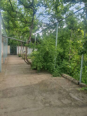 Həyət evləri və villaların satışı: 5 otaqlı, 158 kv. m, Orta təmir -da lalafo.az — 5 Həyət evləri və villaların satışı: 5 otaqlı, 158 kv. m, Orta təmir — 5