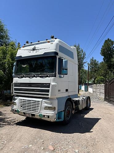 daf 2008: Тягач, DAF, 2005 г., Без прицепа — 4