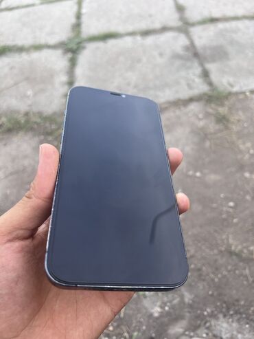 мыльница фотоаппарат бишкек: IPhone 12 Pro Max, Б/у, 512 ГБ, Pacific Blue, Защитное стекло, 100 %