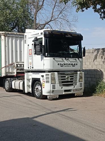 магнум: Тягач, Renault, 2008 г., Тентованный — 1
