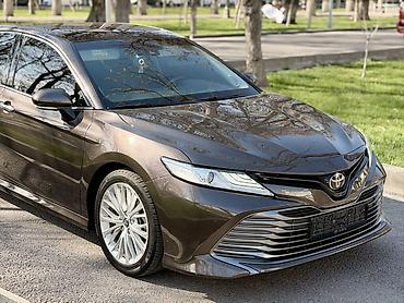 Toyota: Toyota Camry: 2019 г., 2.5 л, Автомат, Бензин, Седан — 2