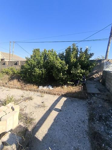 qubada satilan torpaq: 5 sot, Tikinti, Mülkiyyətçi, Kupça (Çıxarış) — 4