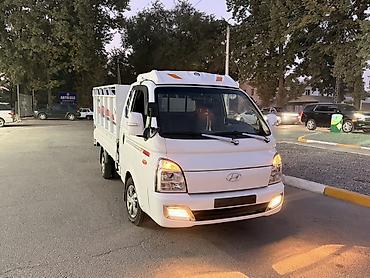 Транспорт: Hyundai Porter: 2019 г., 2.5 л, Типтроник, Дизель, Бус — 1