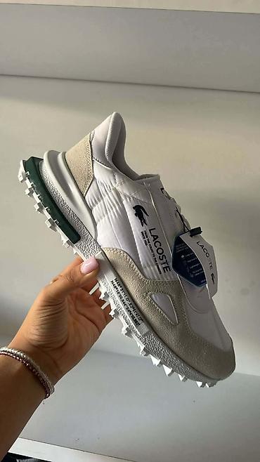 patike na veliko: Lacoste patike od 36 do 44 za samo 5000 din — 4