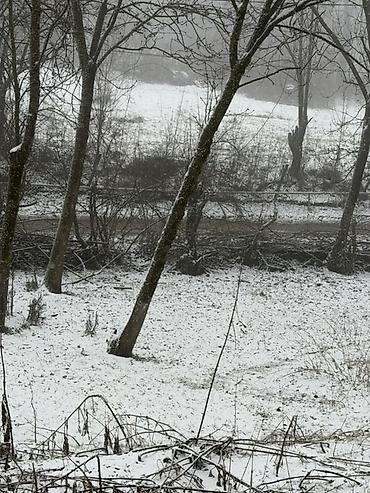 Torpaq sahələrinin satışı: 20 sot, Tikinti, Barter mümkündür, Kupça (Çıxarış) — 8